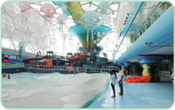 J9游戏(中国)-官方网站